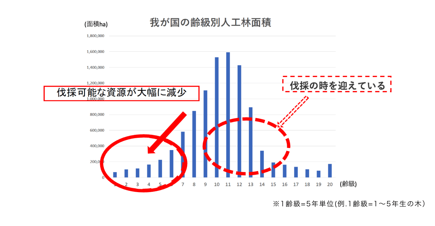 我が国の齢級別人工林面積