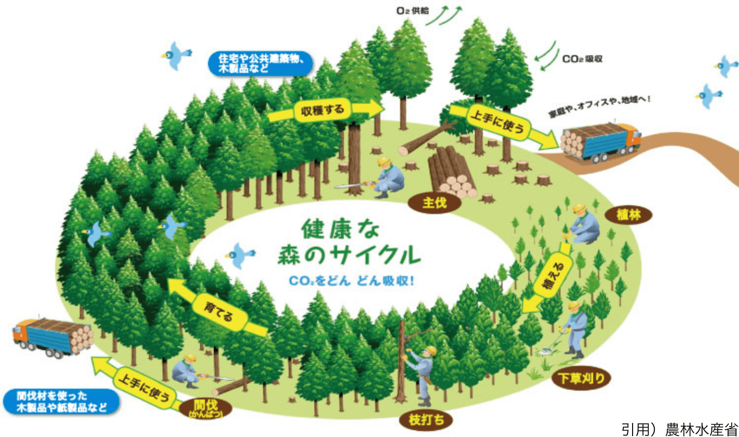 健康な森のリサイクル